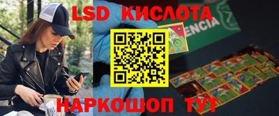 стафф Нальчик